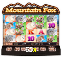 65x casino